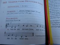 20140608_PfingsSonntag_Gotteslob_20