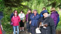 20160617_Gruppe-unter-Baum